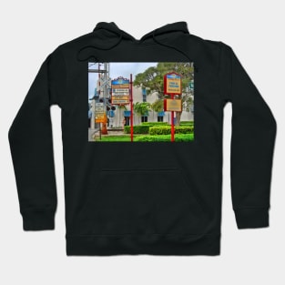 Delray Florida Hoodie